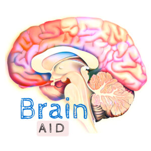 half brain image with text brain aid